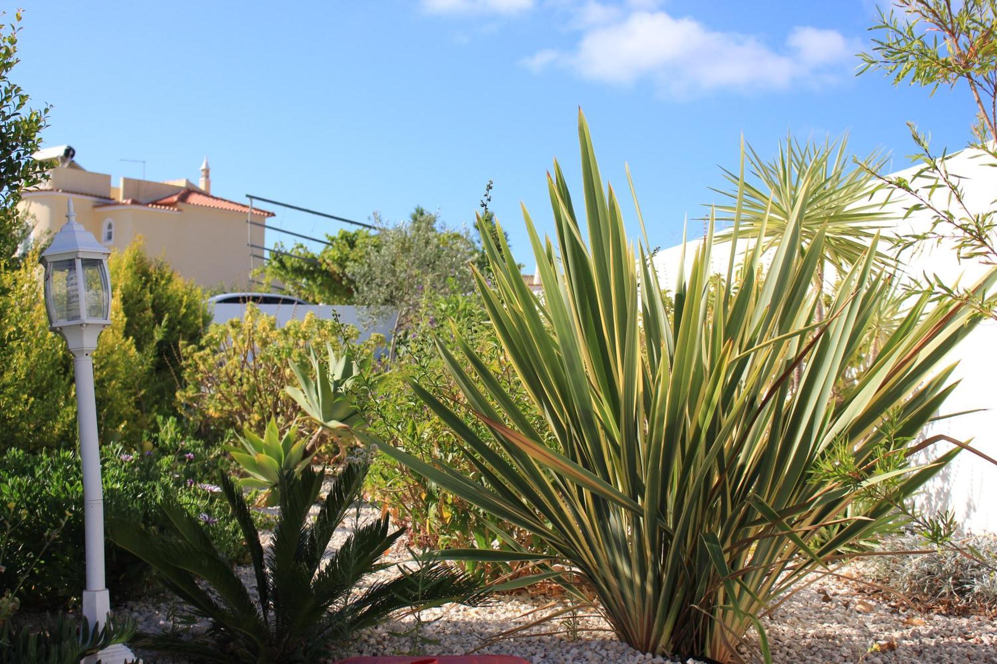 Sunshine Hotel Albufeira Kültér fotó